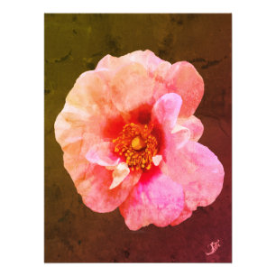 Rosa Rose mit dunklem Herzen - Ölmalerei Fotodruck
