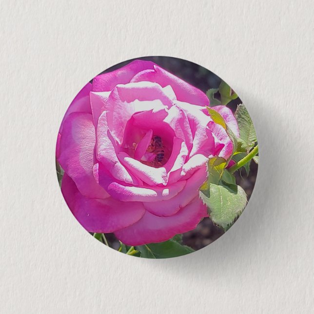 Rosa Rose mit einem Bienenknopf Button (Vorderseite)