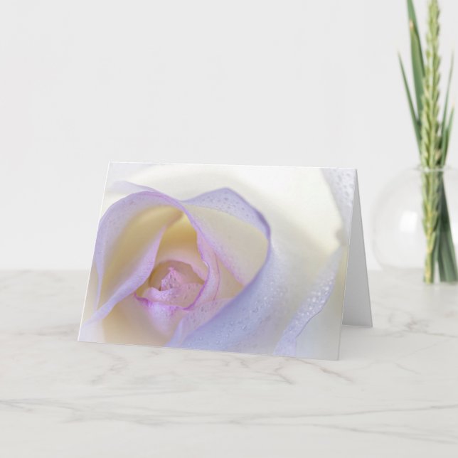 Rosa Rose mit Schatz Karte (Vorderseite)