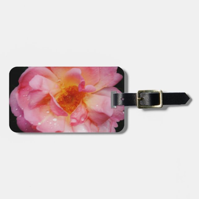 Rosa Rose mit schwarzem Hintergrund/ Taubenschlag Gepäckanhänger (Vorderseite horizontal)