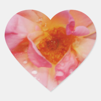 Rosa Rose mit schwarzem Hintergrund/ Taubenschlag Herz-Aufkleber