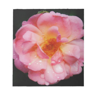 Rosa Rose mit schwarzem Hintergrund/ Taubenschlag Notizblock
