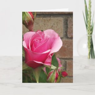 Rosa Rose mit Ziegeln Karte