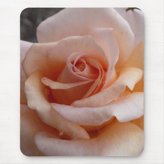 Rosa Rose Mousepad (Vorne)