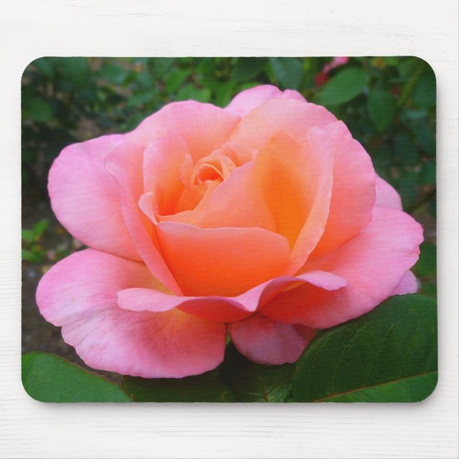 Rosa Rose Mousepad (Vorne)
