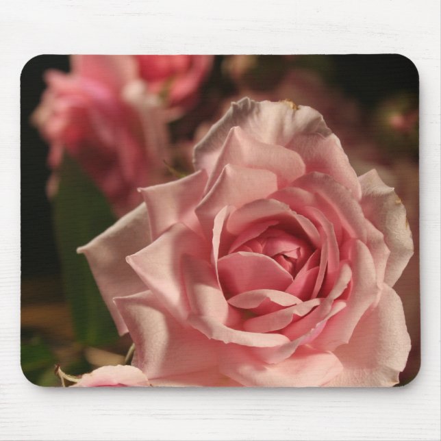 Rosa Rose Mousepad (Vorne)