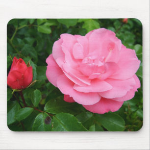 rosa Rose Mousepad