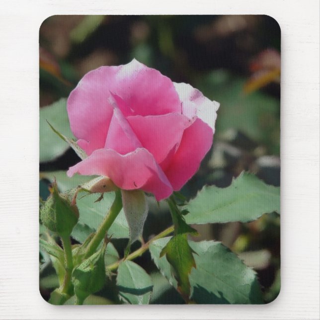 Rosa Rose Mousepad (Vorne)