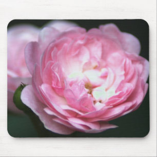 Rosa Rose Mousepad! Mousepad