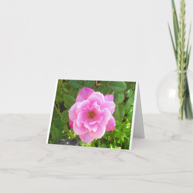 Rosa Rose Notecard Karte (Vorderseite)