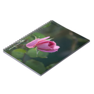 Rosa Rose Notizblock