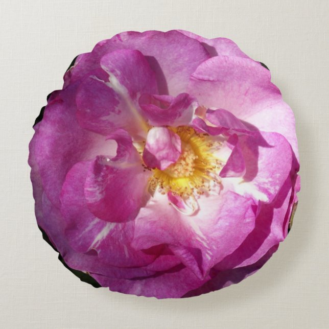 Rosa Rose Polster Rundkissen (Vorderseite)