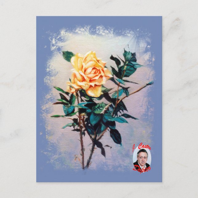 Rosa/Rose Postkarte (Vorderseite)