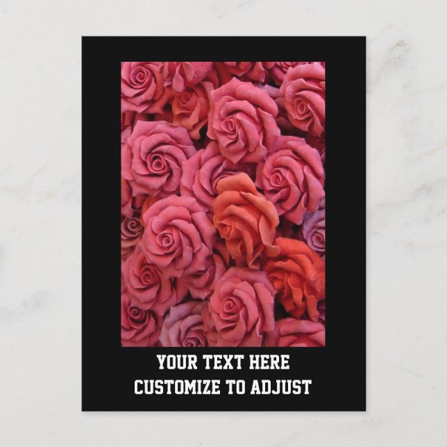 Rosa Rose Postkarte (Vorderseite)