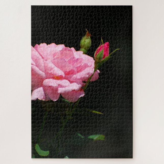 Rosa Rose Puzzle (Vertikal)