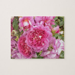 Rosa Rose Puzzle