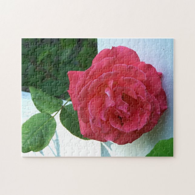 Rosa Rose Puzzle (Horizontal)