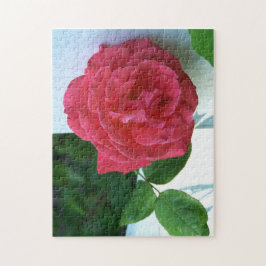 Rosa Rose Puzzle