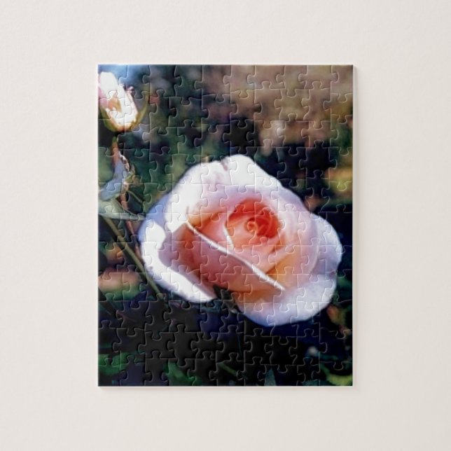 Rosa Rose Puzzle (Vertikal)