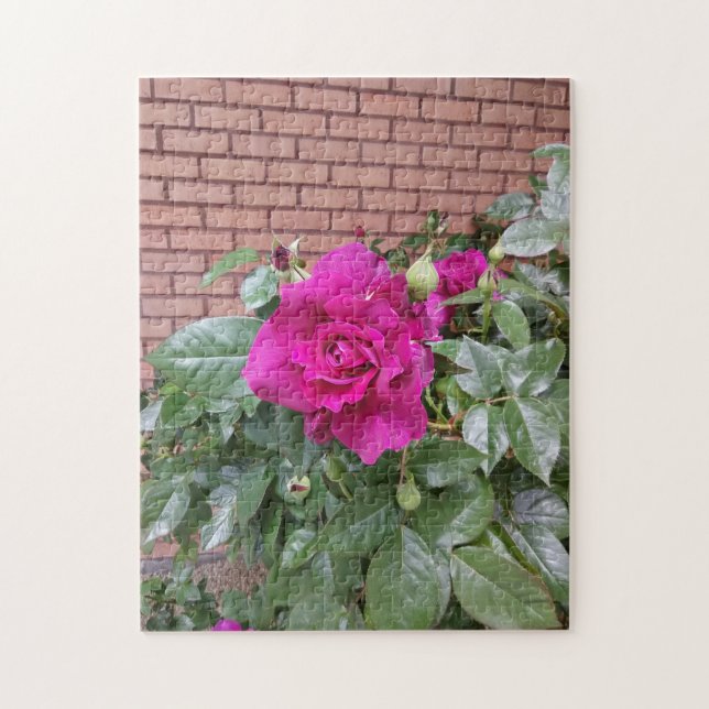 Rosa Rose Puzzle (Vertikal)