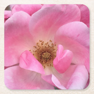 Rosa Rose Rechteckiger Pappuntersetzer