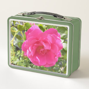 Rosa Rose / Rosa Rose Nr. 2 Metall Brotdose