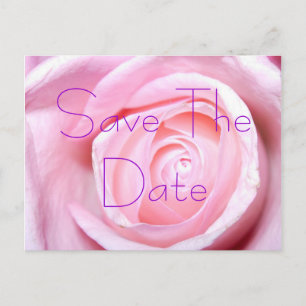 Rosa Rose, Save the Date Postkarte