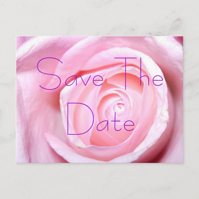 Rosa Rose, Save the Date Postkarte (Vorderseite)