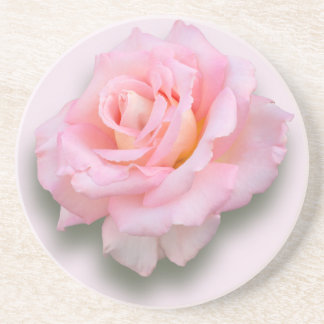 Rosa Rose 'Scentsation Untersetzer