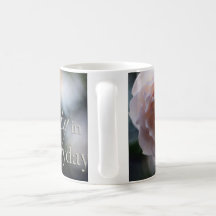 Rosa Rose suchen nach der Schönheit in der