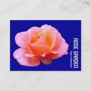 Rosa Rose (Tiefblau) Visitenkarte