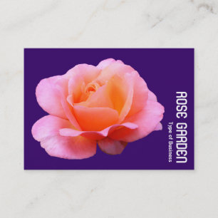 Rosa Rose (Tiefes Violett) Visitenkarte