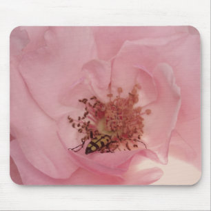 Rosa Rose und ein Bug Fotografy Mousepad