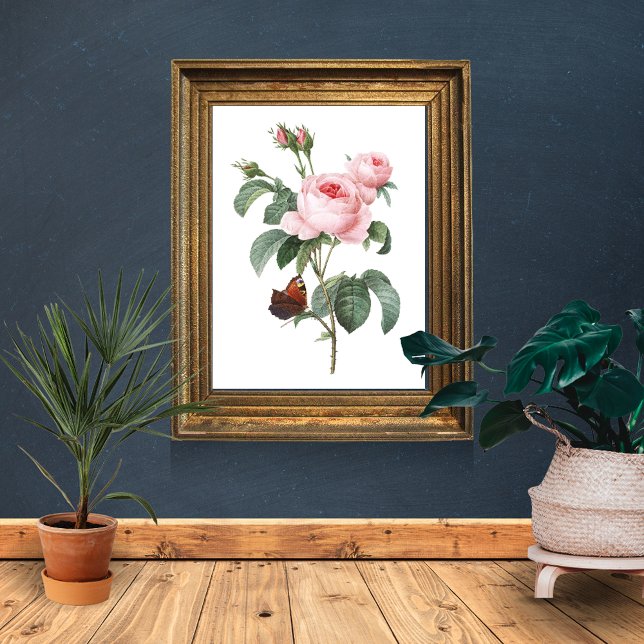 Rosa Rose und Schmetterling Poster (Von Creator hochgeladen)