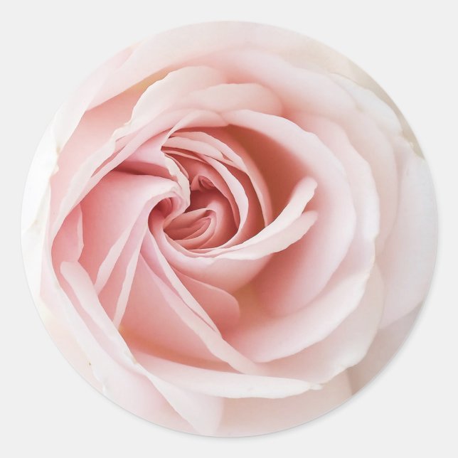 Rosa Rose und Weißholz Shabby Chic Brautparty Runder Aufkleber (Vorderseite)