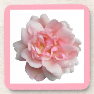 Rosa Rose Untersetzer