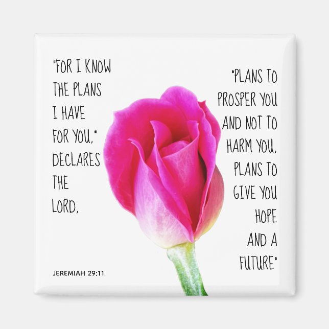 Rosa Rose, Vers von Jeremiah 29:11 Magnet (Vorne)