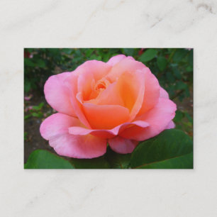 Rosa Rose Visitenkarte