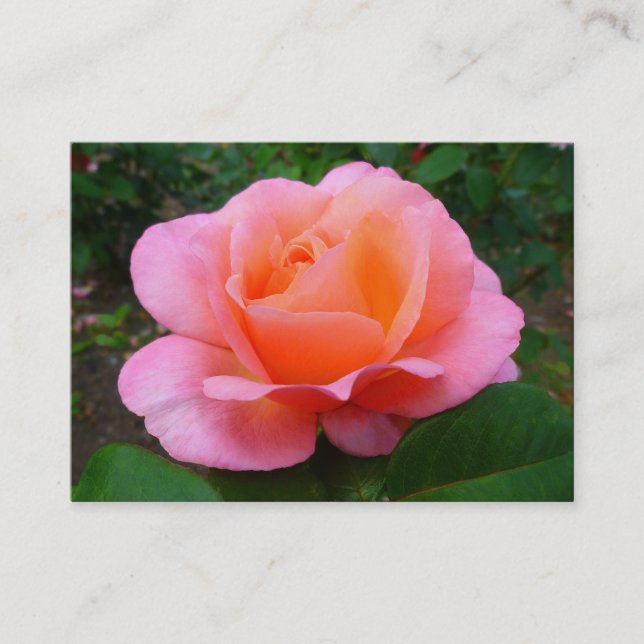 Rosa Rose Visitenkarte (Vorderseite)