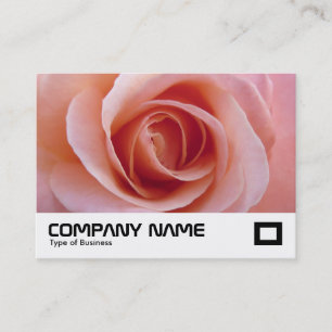 Rosa Rose Visitenkarte