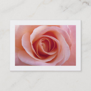 Rosa Rose Visitenkarte