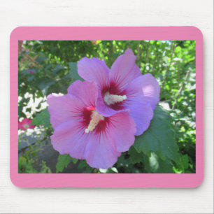 Rosa Rose von Sharon Foto Mousepad