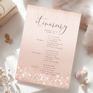 Rosa Roségoldene Hochzeitsdusche-Itinerary-Karte Einladung