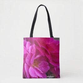 Rosa Rosen