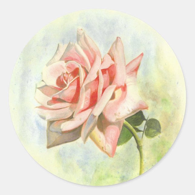 Rosa Rosen Aufkleber (Vorderseite)