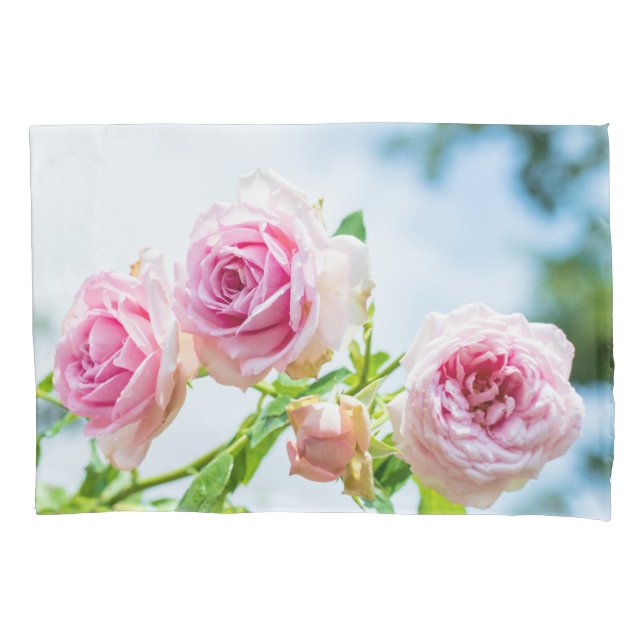 Rosa Rosen-Blume Kissenbezug (Vorderseite)