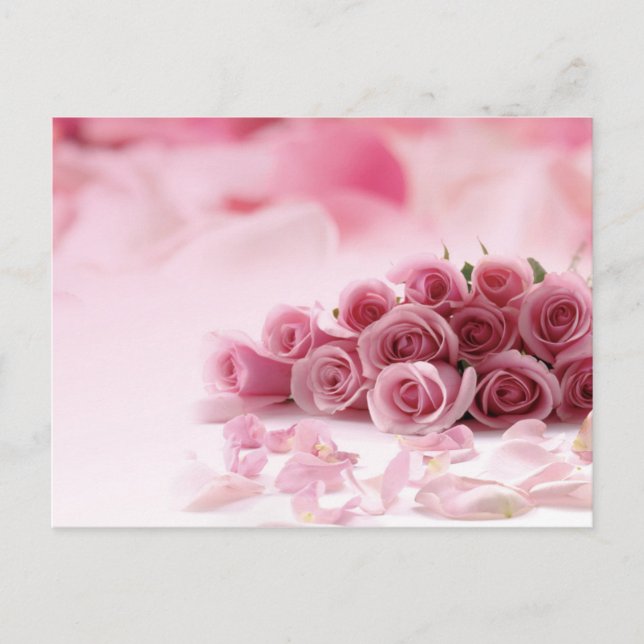 Rosa Rosen - Blumen Postkarte (Vorderseite)