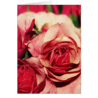 Rosa Rosen-Blumenstrauß-feine Kunst-Fotografie