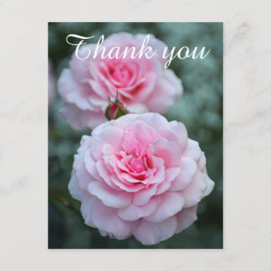 Rosa Rosen danken Ihnen Dankeskarte