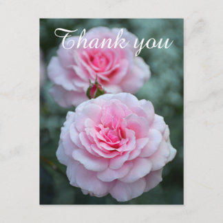 Rosa Rosen danken Ihnen Dankeskarte